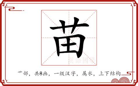 苗的意思|苗：苗的意思/造詞/解釋/注音